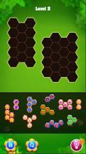 Blossom Hexa Puzzle Legend截图2