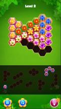 Blossom Hexa Puzzle Legend截图4