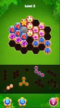 Blossom Hexa Puzzle Legend截图3