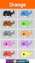 Learn Colors with Baby Shark截图2