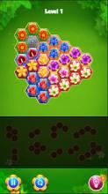 Blossom Hexa Puzzle Legend截图5