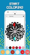 Mandala Pixel Art - Number Coloring截图4