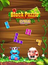 Block Puzzle Crush截图5