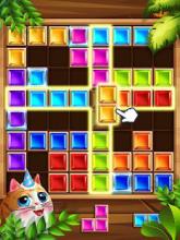 Block Puzzle Crush截图3