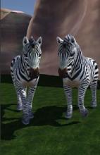 Safari park VR - Animals VR 3D截图1