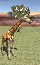 Safari park VR - Animals VR 3D截图2