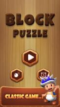 Block! Wood Puzzle - Block Puzzle截图1