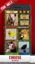 Fun Learn Animals截图4