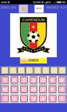 Football National Team Logo Quiz截图1