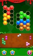 Hexagon Block Puzzle Mania截图1