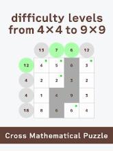 Cross Mathematical Puzzle截图3