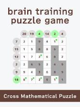 Cross Mathematical Puzzle截图4