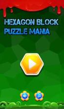 Hexagon Block Puzzle Mania截图3