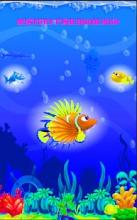 Mistery Fish Boom 2019截图1