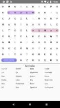 Word Find-Bul Bakalım截图3