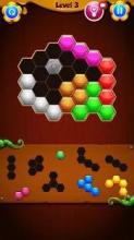 HEXA Block Puzzle Game截图2