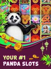 Panda Best Slots Free Casino截图1