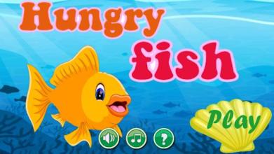 the fish hungry截图4