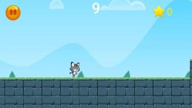 Super Cat Run截图1