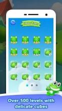 Frog Cube Blast截图5