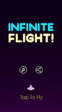 Infinite Flight!截图4