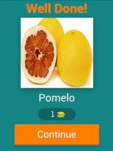 Guess Fruits In The World Quiz截图5