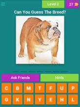 Guess The Dog Breeds Most Popular Dog Breeds Quiz截图3