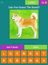 Guess The Dog Breeds Most Popular Dog Breeds Quiz截图4