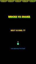 Bricks VS Snake截图3