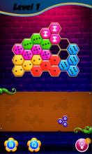 Domino Hexagon Puzzle截图5