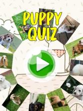 Puppy Dogs Quiz- Guess Popular Dog Breeds Photos截图3