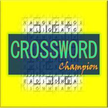 CROSSWORD CHAMPION截图1