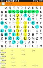 Word search with hidden quote截图1