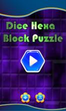 Dice Hexa Block Puzzle截图4