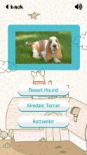 Puppy Dogs Quiz- Guess Popular Dog Breeds Photos截图5