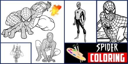 Spider Coloring Book: Kids Coloring superhero截图2