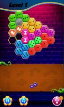 Domino Hexagon Puzzle截图4