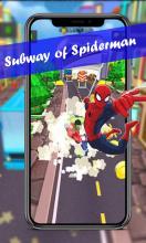 Subway Spider Rush 3D截图1