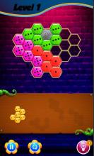 Domino Hexagon Puzzle截图3