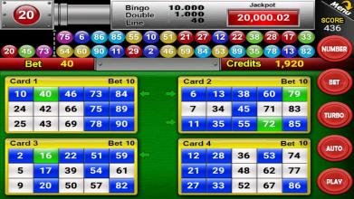 Nine Balls Video Bingo截图3