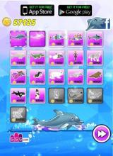 Dolphin Show 8截图2