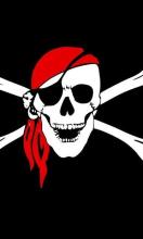 Pirates Jigsaw Puzzle Game截图5