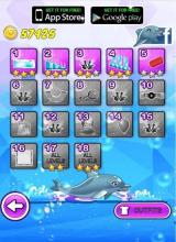 Dolphin Show 8截图1