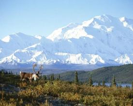 Alaska New Jigsaw Puzzles截图2