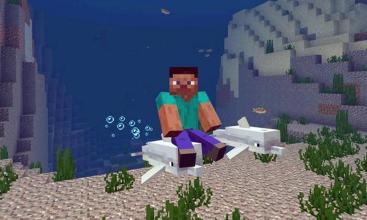 Dolphin Addon For MCPE截图3