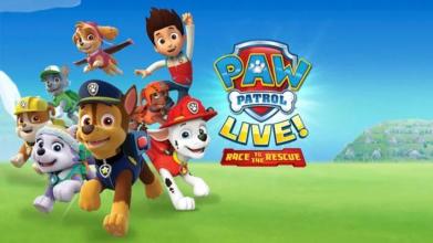 Subway Paw Patrol Ryder Run截图1