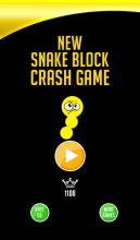 New Snake Block Crash Game截图1