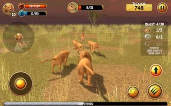 Wild Lion Simulator 3D截图2