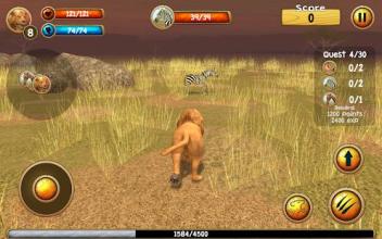 Wild Lion Simulator 3D截图1