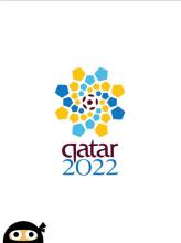 Qatar World Cup 2022截图3